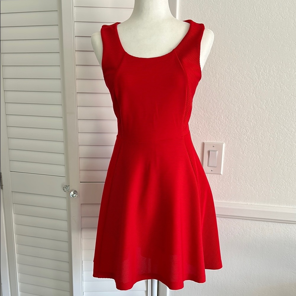 Express Fit and Flare Skater Dress